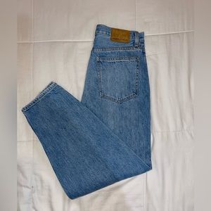 Aritzia Denim Forum THE GIA high rise carrot jean